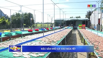 Đặc sản khô cá vào mùa tết | LONG AN TV