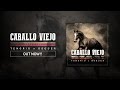 TENORIO x Osgüer - Caballo Viejo