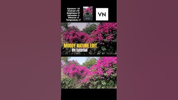 Moody color grading vn tutorial #youtubeshorts #shorts #viralvideo #vneditor