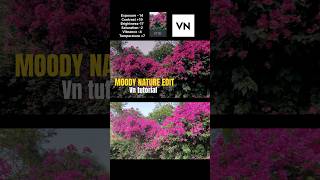 Celebrity Moody color grading vn tutorial #youtubeshorts #shorts #viralvideo #vneditor Net Worth
