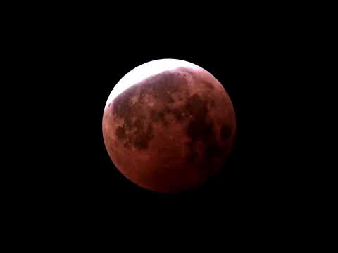 Lunar Eclipse captured with the SeeStar S50 (March 2025)