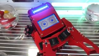 bugsbot catcher