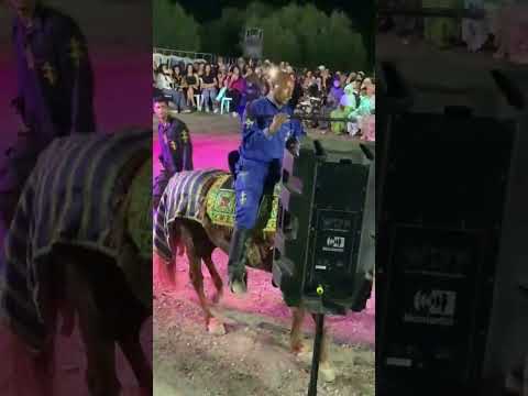 حصان باجة باجه