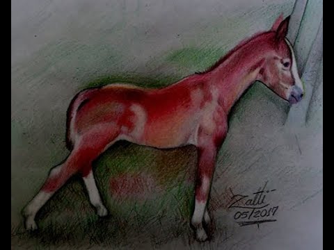 Como desenhar um potro / cavalo 