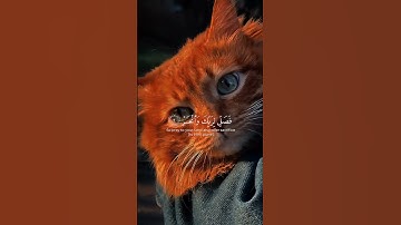 اكتب شيء تؤجر عليه يوم القيامة 😴🖤 #القرآن_الكريم #آيات_الرحمة