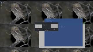 OSCP Work Flow Tips 2 - Workspace and Window Control in Linux
