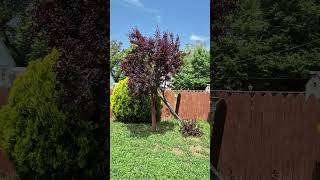 Selling my house in Ogden Utah 1728 Childs Avenue 84404.