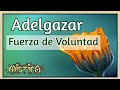 Adelgazar. Hipnosis. Fuerza de Voluntad