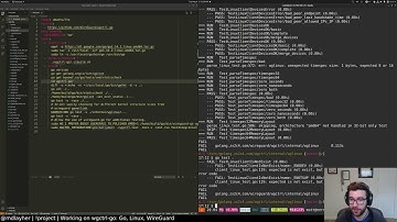 Working on wgctrl-go: Go, Linux, WireGuard (May 5th, 2021)