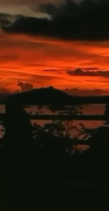 Story Wa IG Senjah Lagu Banyuwangi Lir pedote banyu | Its Story