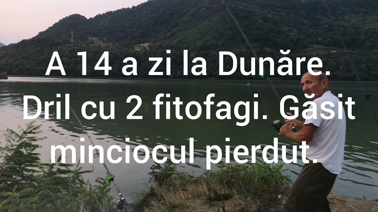PESCUIT CU UICA GORE. A 14 a zi la Dunăre. Dril cu 2 fitofagi și găsit minciocul pierdut.