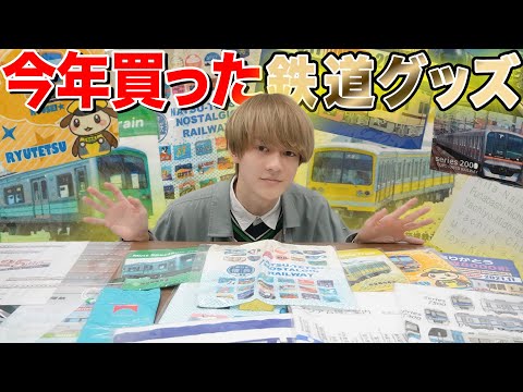 超レア 鉄道レール 本物です!!長さ約30cm 鉄オタさん必見です プラレール S-30 E233系中央線(2階建てグリーン車)｜編成車両