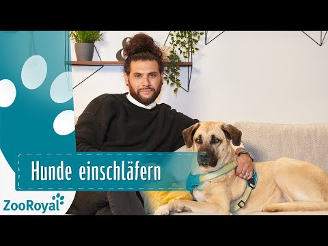 Video: Hornhautgeschwüre