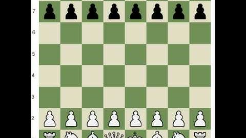 Amateur Analysis - Chess Video
