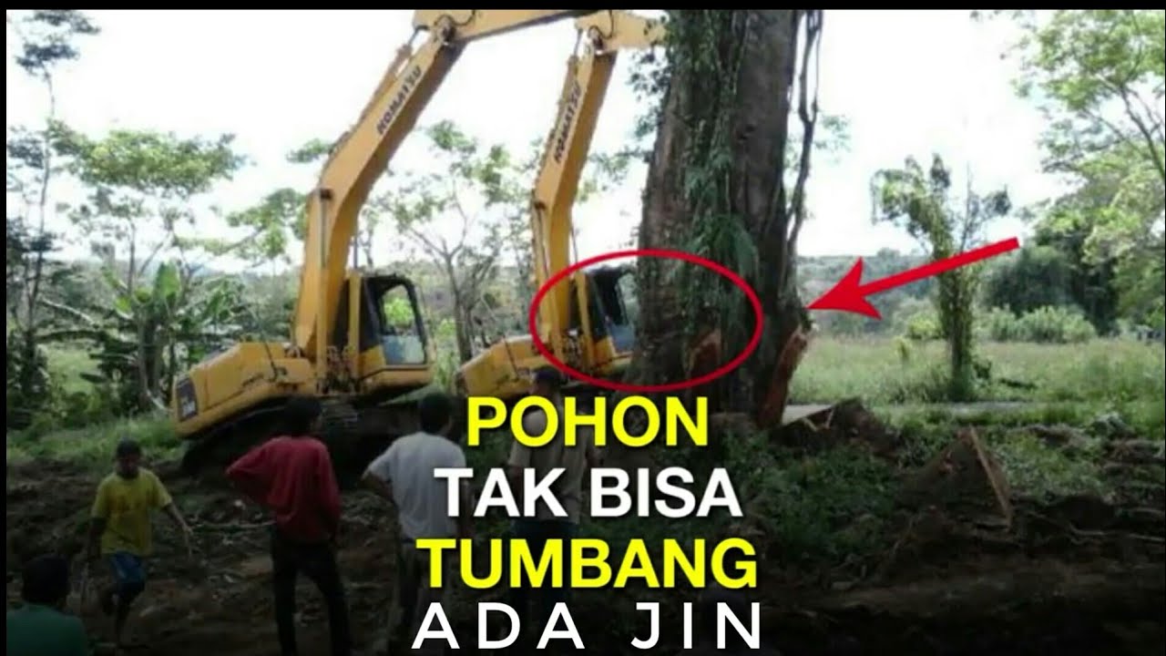 Pohon Keramat Rumah Hantu Di Buldozer Tidak Apa Apa YouTube