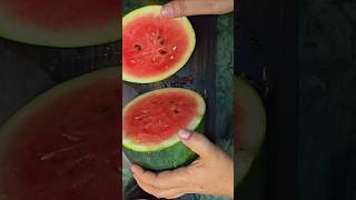 comedy#funny#comedy video#funny video#viral#trending#watermelon cutting#ytshorts#watermelon#foodie🍉🍉
