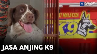 Jasa Anjing K9 | MHI (29 Disember 2022)