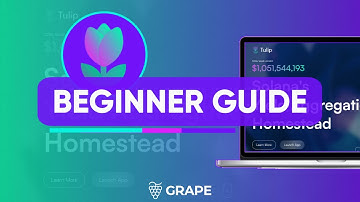 HOW TO USE TULIP | Grape