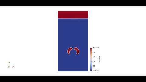 OpenFOAM-Rising Bubble with mass transfer source term