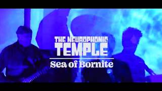 The Neurophonic Temple - Sea Of Bornite Official Music Video