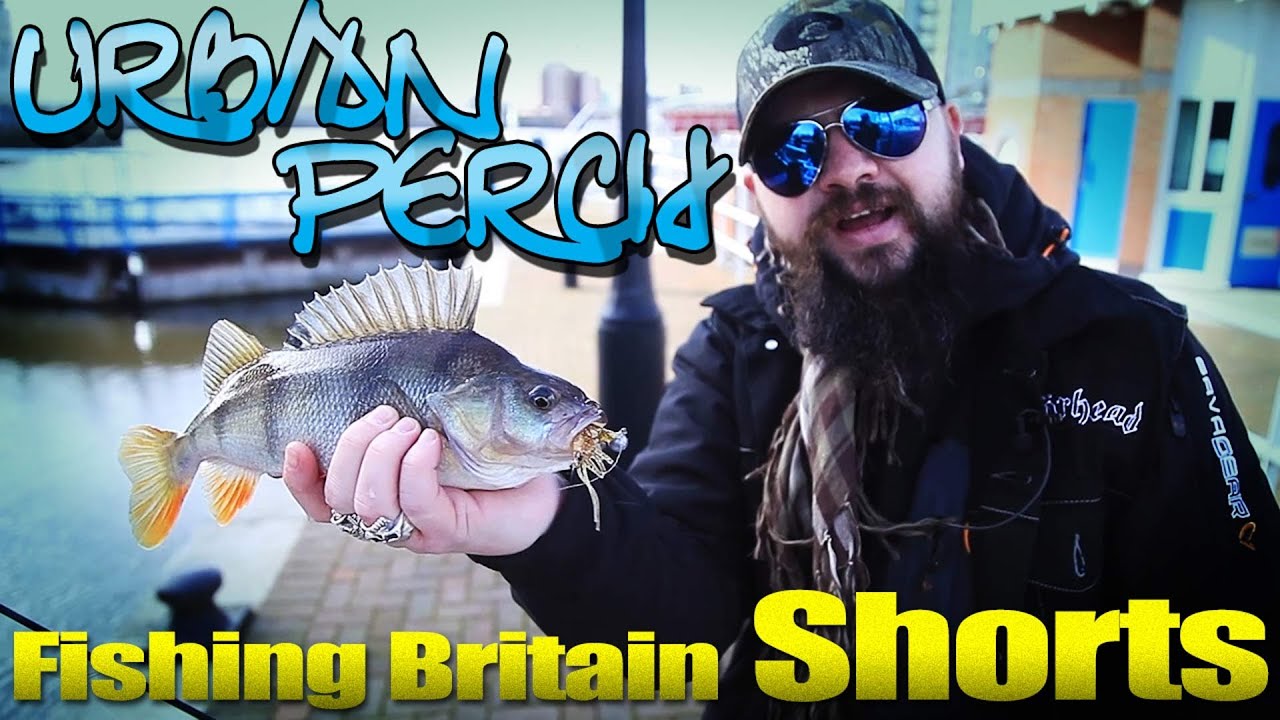 Urban Perch Fishing - Fishing Britain Shorts