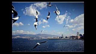 Kuş Hatıraları Resimi