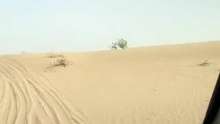 #Saudi Arabia