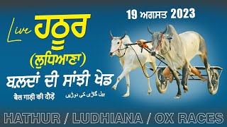 HATHUR (Ludhiana) OX RACES | ਬਲਦਾਂ ਦੀਆਂ ਦੌੜਾਂ | بلدوں کی دودن | बल्दों की दौड़ें 19 Aug 2023 | HD