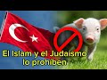 ¿Por qué los judíos y musulmanes no comen carne de cerdo?