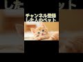 した人のペット した人のペット
