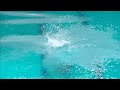 Girls A Platform - Eindhoven Diving Cup 2024