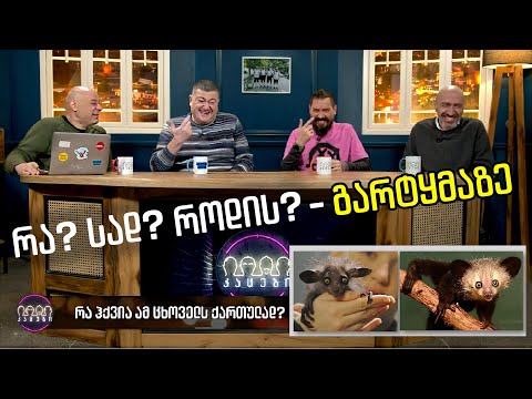 „რა? სად? როდის?“ - გარტყმაზე