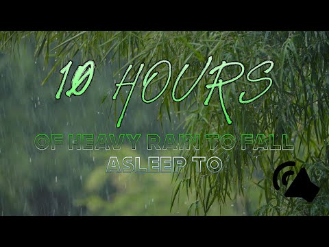 10 HOURS OF HEAVY RAIN TO FALL ASLEEP TO