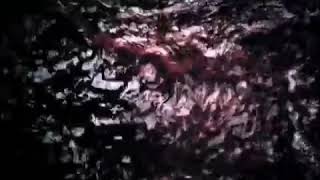 The Ring: Cursed video tape