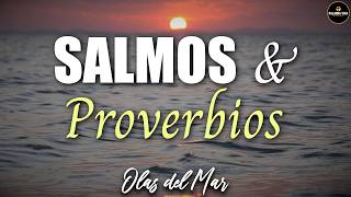 Salmos y Proverbios para dormir  | SIN MUSICA | SOLO OLAS DEL MAR | 3 HRS