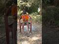 एक राम भक्त कि कहानी 🚩 || जय श्री राम || राम नवमी स्पेशल || #shorts#viral#trending#video#ramji#