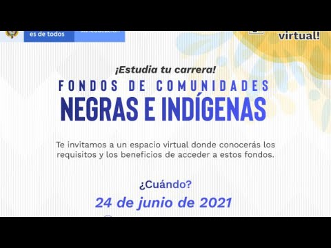 Webinar - Fondo de Comunidades negras e indígenas