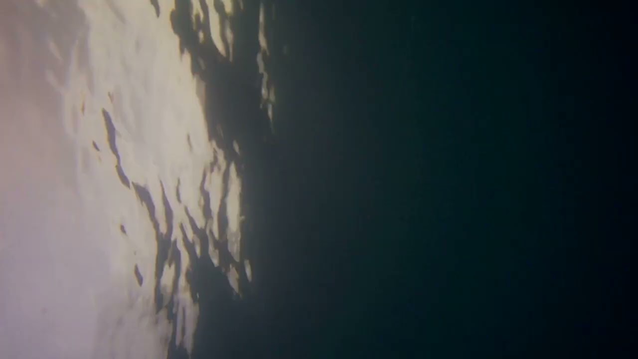 hunting a mullet fish, gun shot 😂