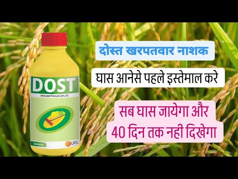 Dost herbicide Upl