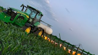 Flaming Weeds In A Organic Corn Field!