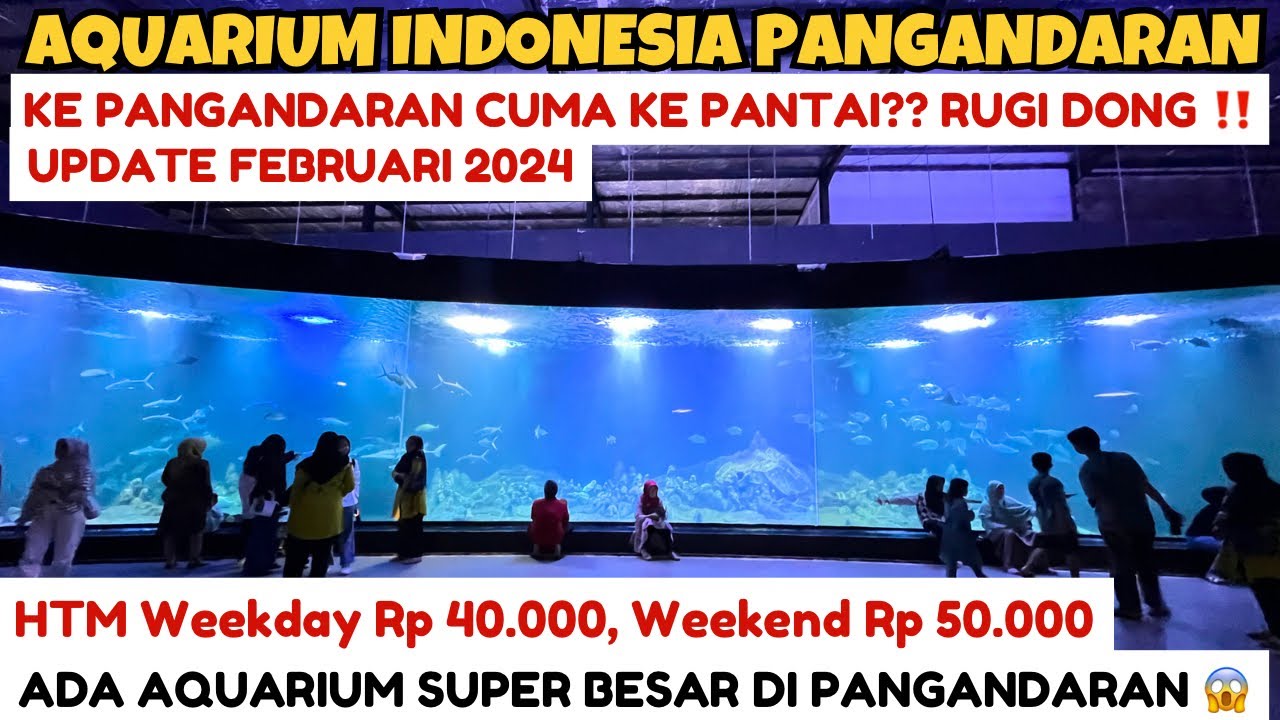 AQUARIUM INDONESIA PANGANDARAN | AQUARIUM PANGANDARAN TERBESAR | PANTAI PANGANDARAN