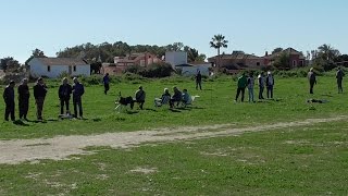 Silvestrismo Diana-Concurso Social 2017 &quot;Arcos-Blanco&quot;-San pedro de Alcántara-Marbella