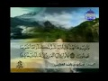 القارئ مشاري العفاسي القرآن كامل الجزء 13 