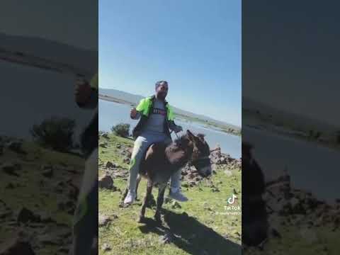 الخوف يرجف الخواف واحنا محد خوفنا