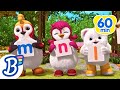 Consonant song  more badanamu abc alphabet songs  kids dance songs ands