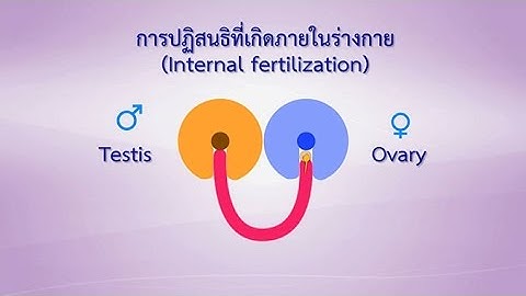 การผสมเท ยมส ตว ท ม การปฎ สนธ ภายนอก ได แก