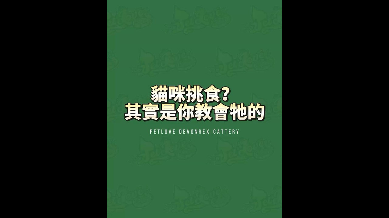 🤔貓咪愛挑食?😻 其實是你教會牠的😵💫 縮圖