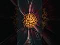Focus Shift Photography Using Zerene Stacker