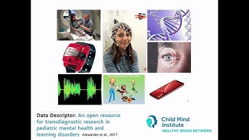 OHBM 2024 | Symposium | Michael Milham |  Empowering the next generation of investigators through …