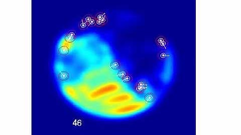 Simulation Vicsek model 1 (with food)